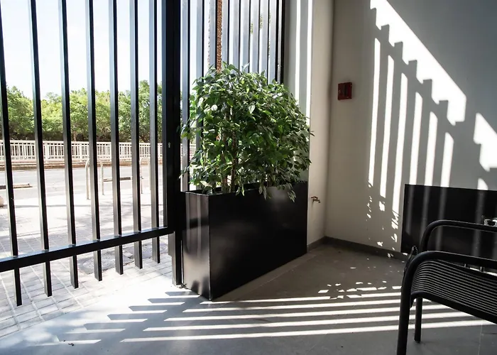 Crudo Un Loft Centrico De 50 M2 Lejlighed Valencia