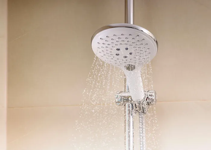 إن إتش سنتر فندق 4*