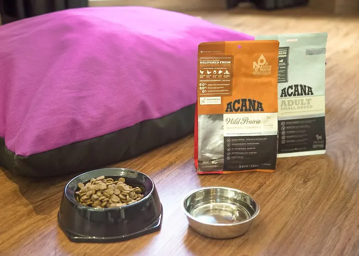 Petit Palace Ruzafa Otel 3*