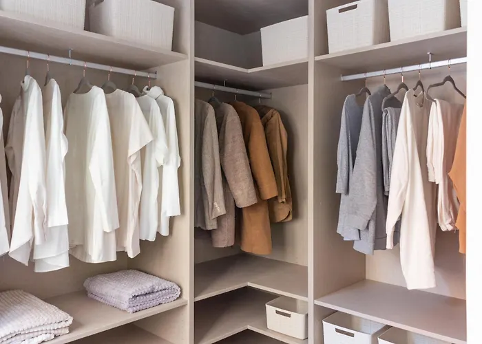 Vlc Host - Belgica *