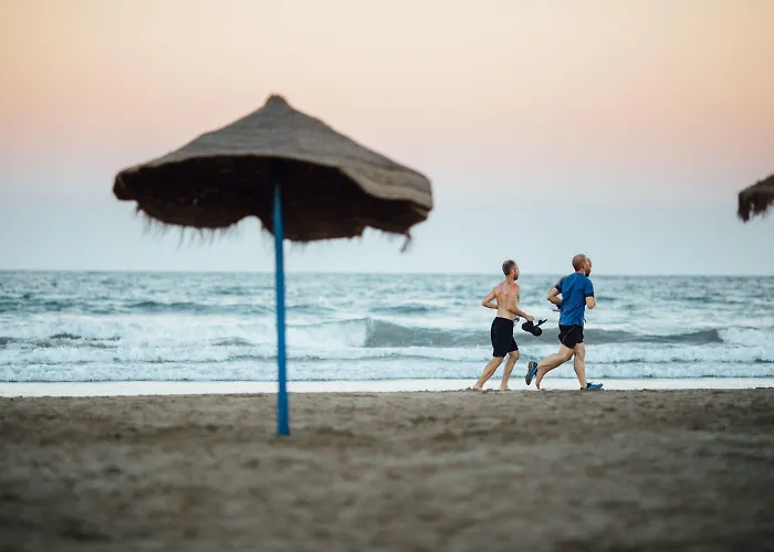 Ciencias בית הארחה