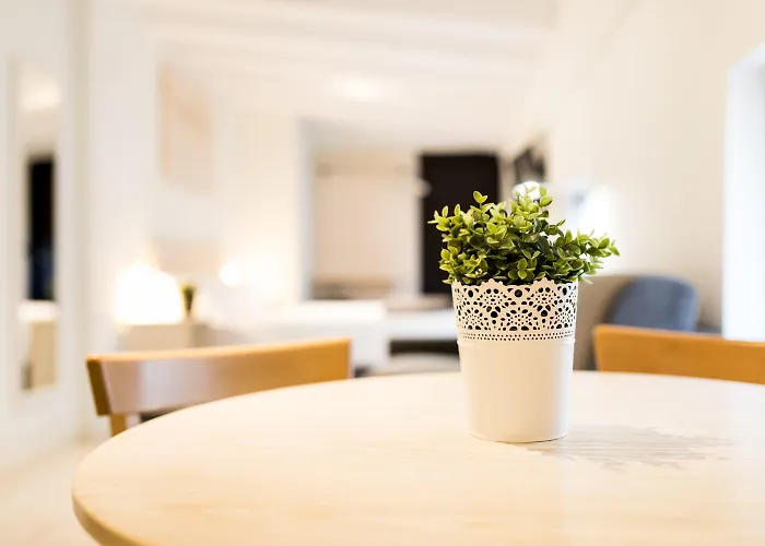 Mate Oliveira - Centre,