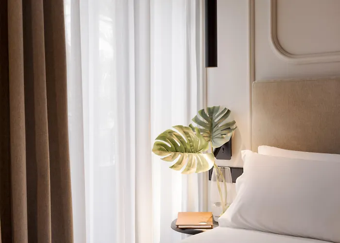 Lotelito Hotel Valenza