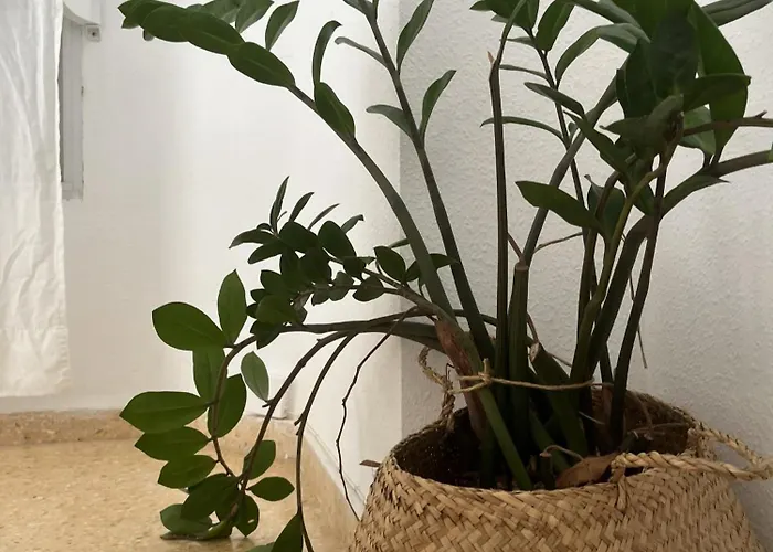 Blayet - Automatizado Maison d'hôtes Valence