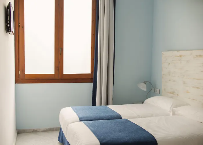 애드 혹 카르멘 2* 발렌시아