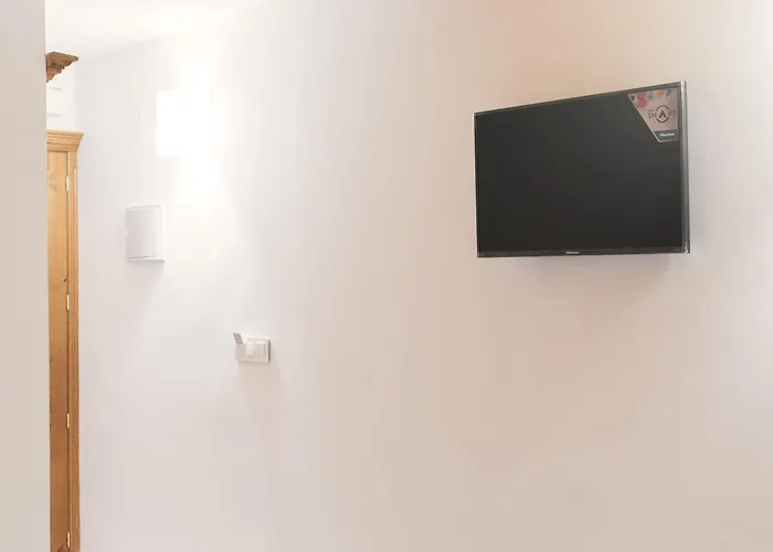 애드 혹 카르멘 2*