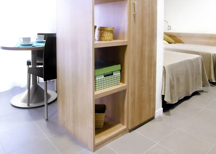 콜레지오 메이어 라 컨셉시온