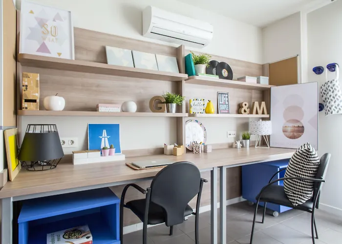 콜레지오 메이어 라 컨셉시온 *