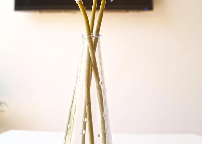 Down Town Apartamento