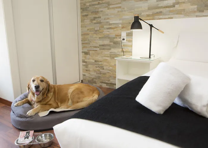 Casual Vintage Hotel Walencja