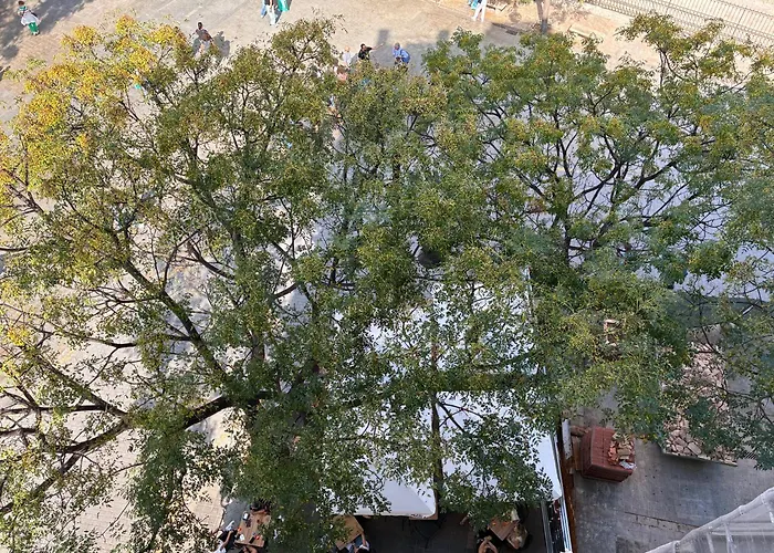 Apartment Trenor Valencia