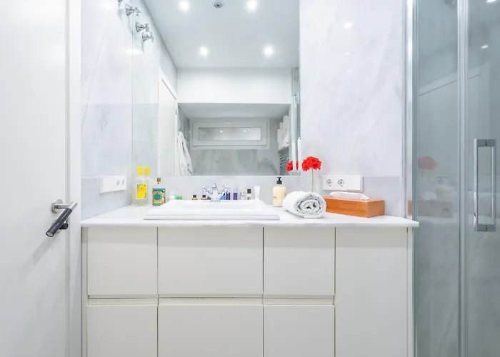 Lujoso Atico Palau De La Musica