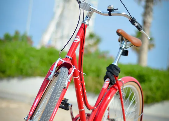 Zalamera فالنسيا