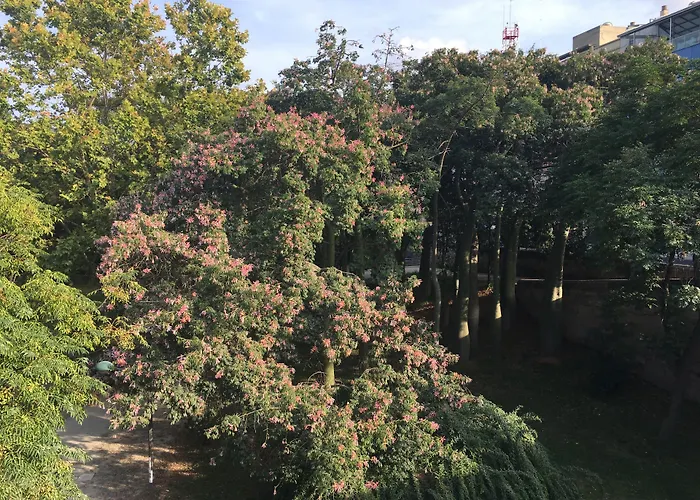 Md Design - Portal Del Real Valencia