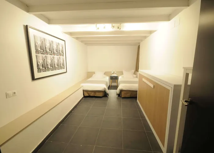 Catalina San Nicolas *