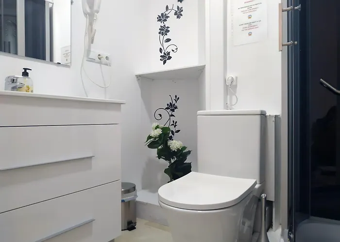 Flats Friends Plaza De La Reina 4*