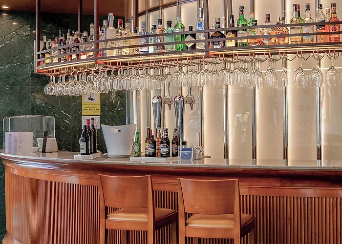 Hotel Melia Plaza 4*