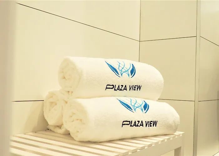 Hotel Plaza View Valenza