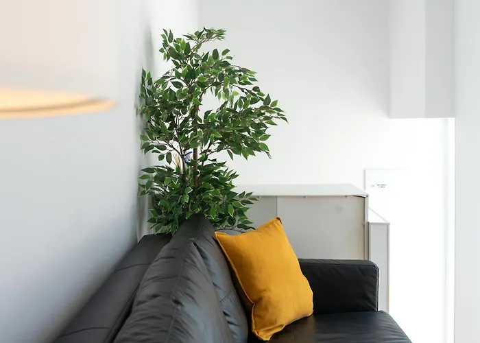 Appartement Nuevo Costa Del Alma *