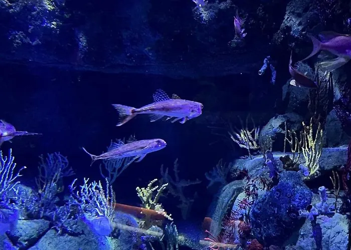 보트호텔 Unique Experience In Sailboat! In The 4 Seasons!! B Shi *