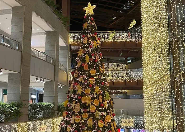 Unique Experience In Sailboat! In The 4 Seasons!! B Shi