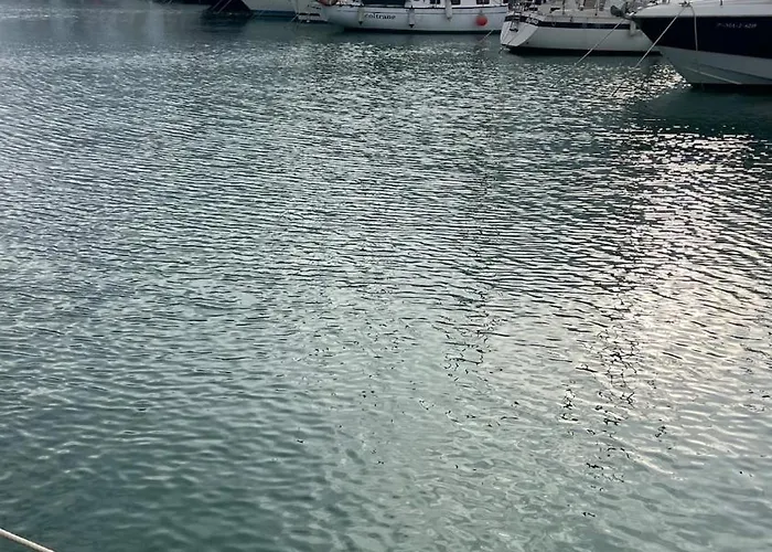 Unique Experience In Sailboat! In The 4 Seasons!! B Shi *