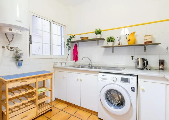 Invalencia Musico 2 Turia Gardens *