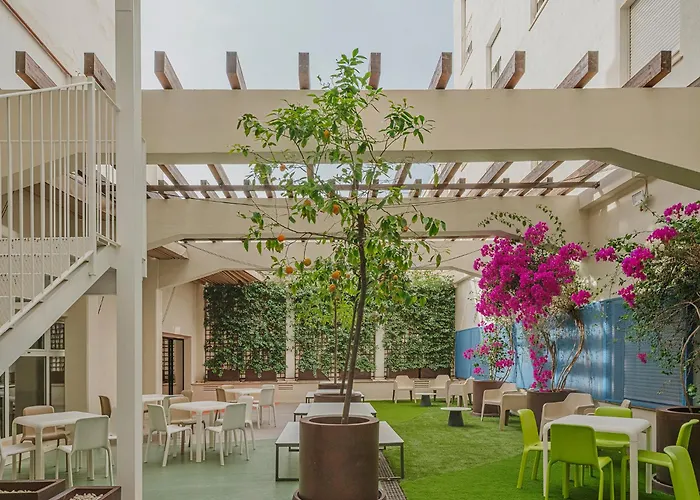 콜레지오 메이어 라 컨셉시온 *