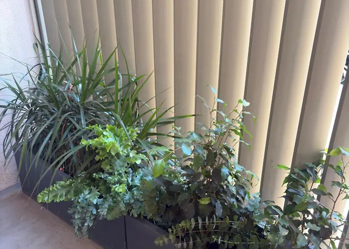 Mestalla Flats & Rut شقة فالنسيا