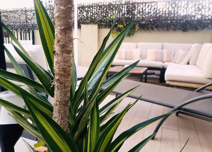 Guest house Zalamera 4*