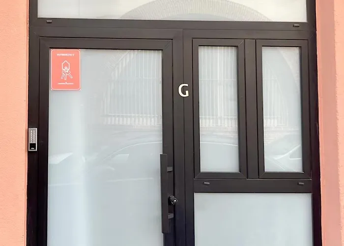 Osito Hub - Colomer *