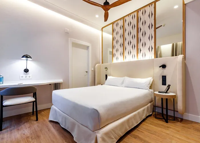 Petit Palace Plaza De La Reina