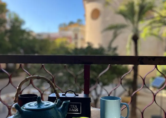 Plaza Del Carmen Boutique