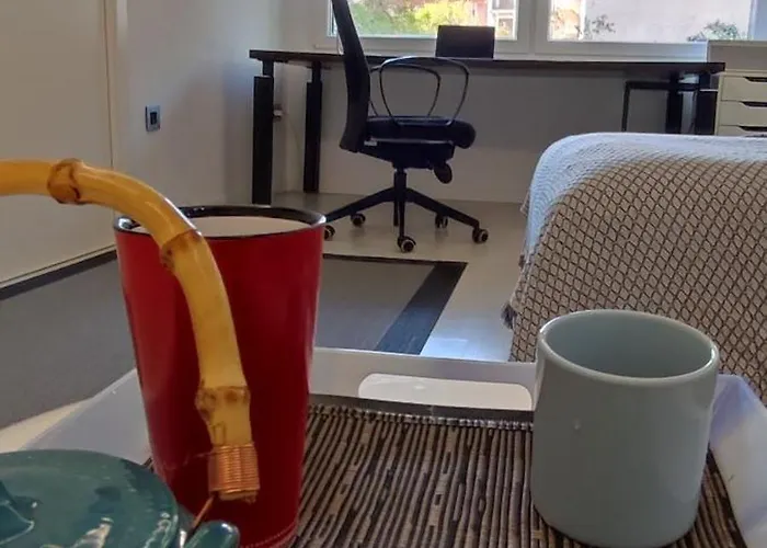 Plaza Del Carmen Boutique *