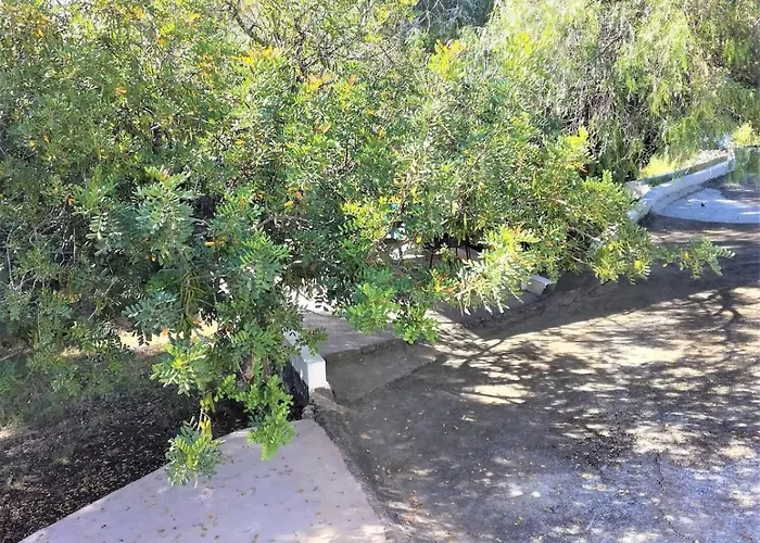 La Casa Del Bosque * Walencja