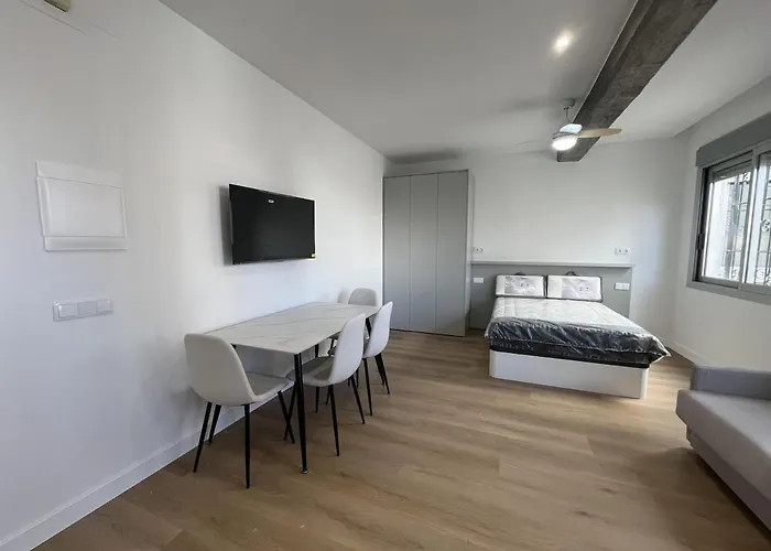 Loft En El Centro De Botanico 6 Apartment Valencia