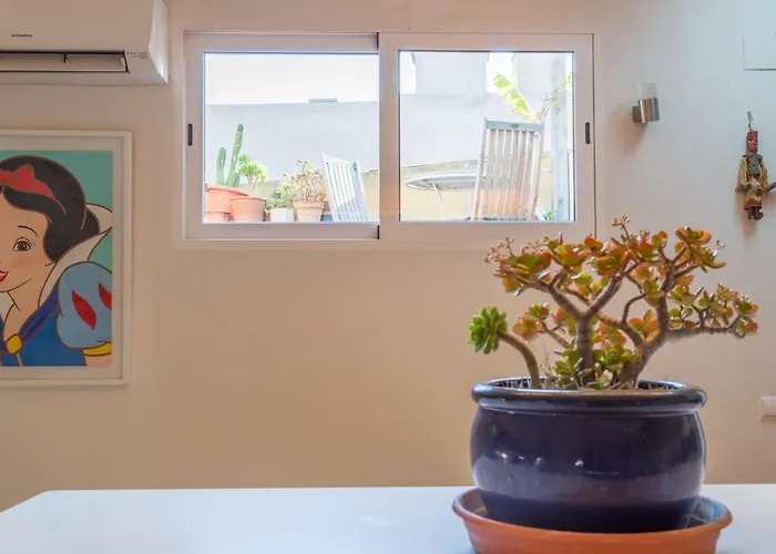 Atico Exclusivo Del Siglo Xvi Con Dos Terrazas En El Corazon De Ciutat Vella *