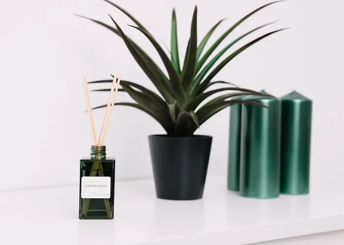 N2 Bright & Comfortable Benicalap Apartment