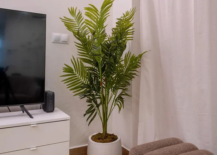 Viva - Arte&reflejos Valencia