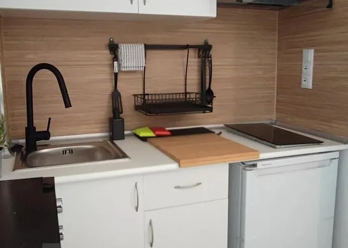 En La Ciudad De Artes Y Ciencias