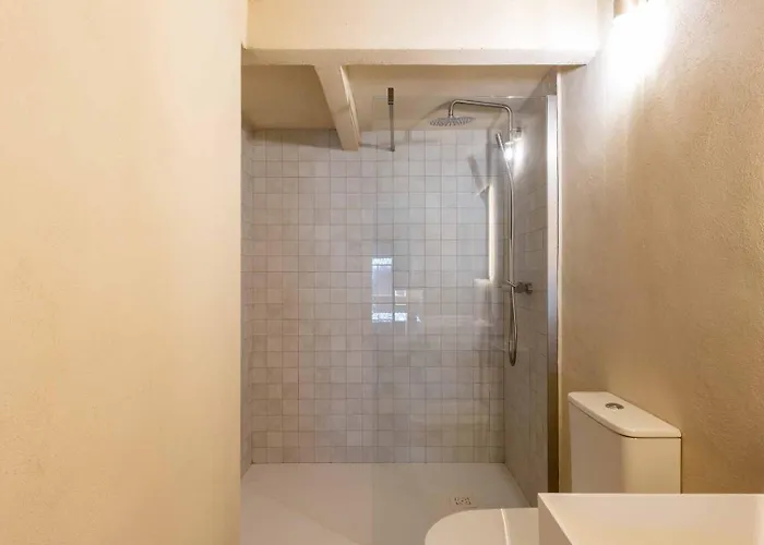 Vlc Host - Reina 166 B Valensiya