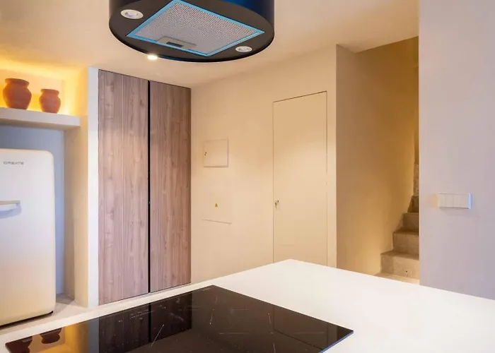 Vlc Host - Reina 166 B Valência