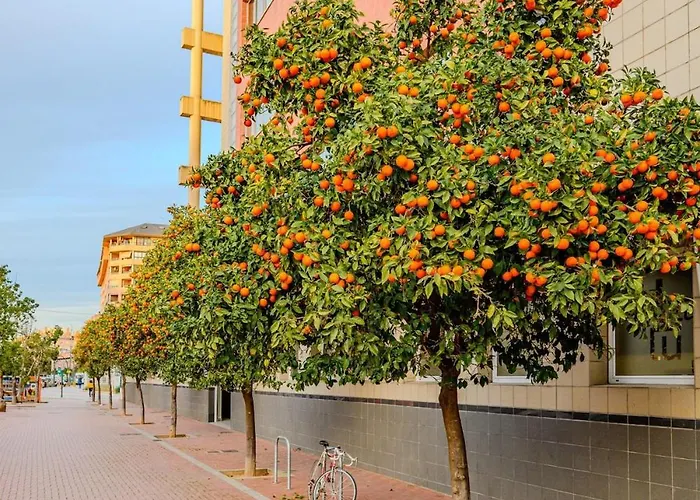 Apartment The Cabanal House - 10 Min To Ocean, Fastwifi, Ac, Coffee Valencia