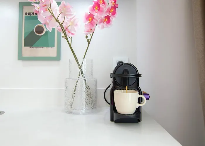 Nomad Viveros 02 * Walencja