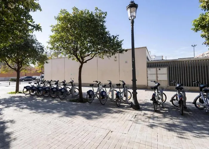 De Diseno En Roig Arena *