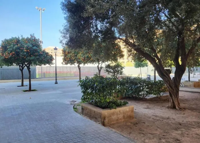 De Diseno En Roig Arena