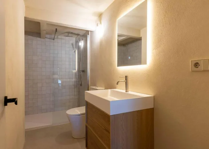 Vlc Host - Reina 166 B Valência