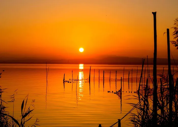 Ross - Flat With The Amenities