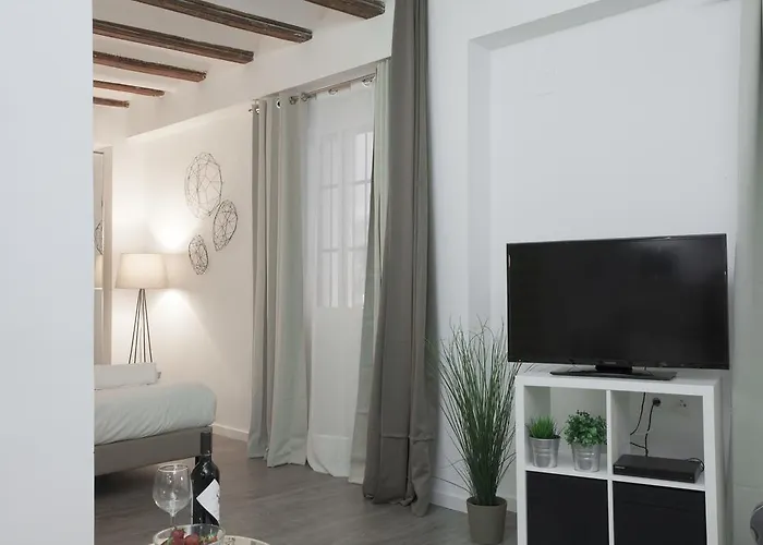 Appartement Singularstays Mercado Valence