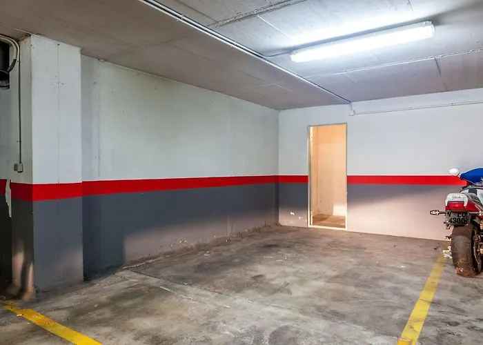 Flat Swim And Paddle 발렌시아